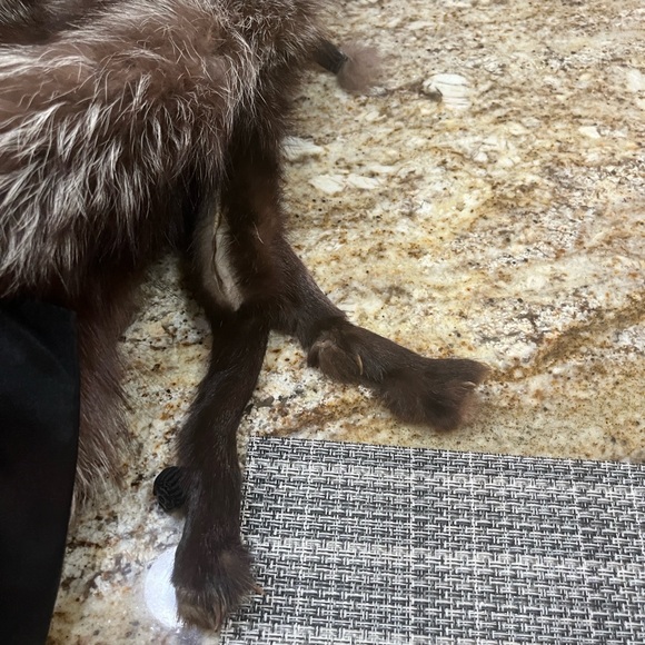 Elegant Fox wrap full bodies - Picture 4 of 13